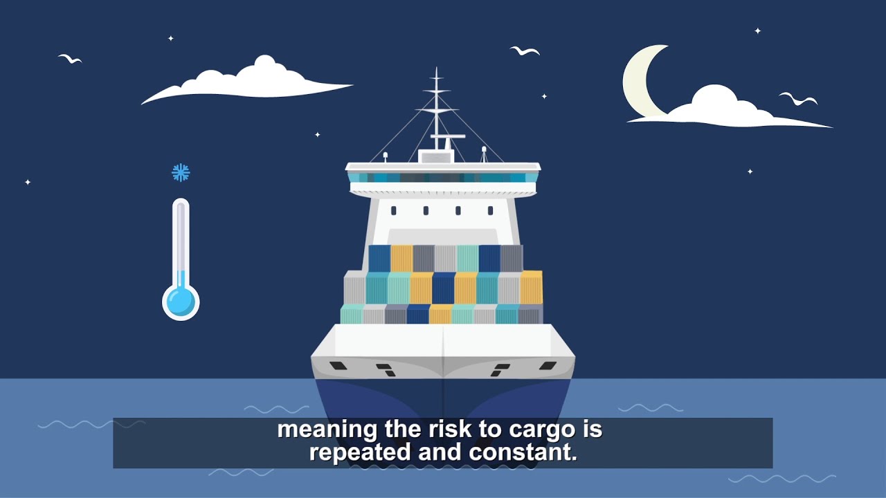 An Introduction to Shipping Container Condensation GLOBEMAR